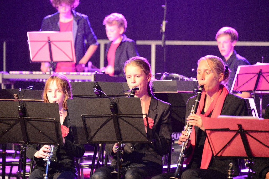 ../Images/Jubileumconcert 100 jaar Harpe Davids 139.jpg